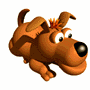 cane marrone guarda.gif